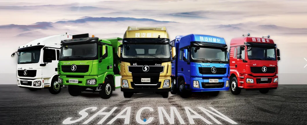 Genuine Shacman Truck Parts X3000, X5000 Truck Parts