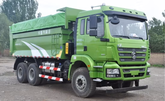 Shacman H3000 10 Wheel Dumper Truck with 25 Cbm Dump Box