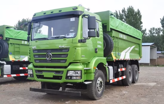 Shacman H3000 10 Wheel Dumper Truck with 25 Cbm Dump Box